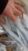 20190309_153248.jpg