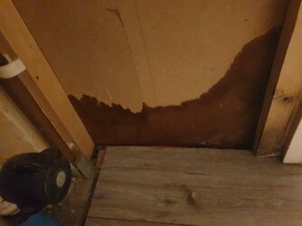 20210305_233243.jpg 20210305_233243.jpg